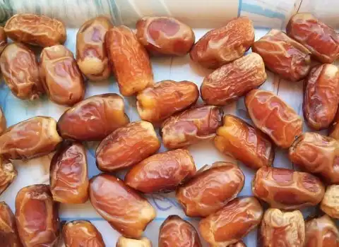 تصویر 3 از قیمت خرما زاهدی خشک + خرید باور نکردنی